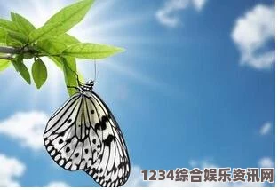 菠萝蜜在线观看免费观看电视：高清流畅体验，满足您的追剧需求