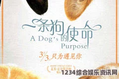 人or猪or狗欧美一卡二卡三卡：探索影视武打片的刺激魅力与小说评价之旅