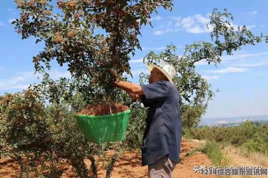 缺氧环境下冰息萝卜的神奇功效解析