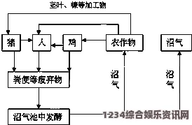 缺氧环境下小动物喂食器的实用功能及操作指南详解