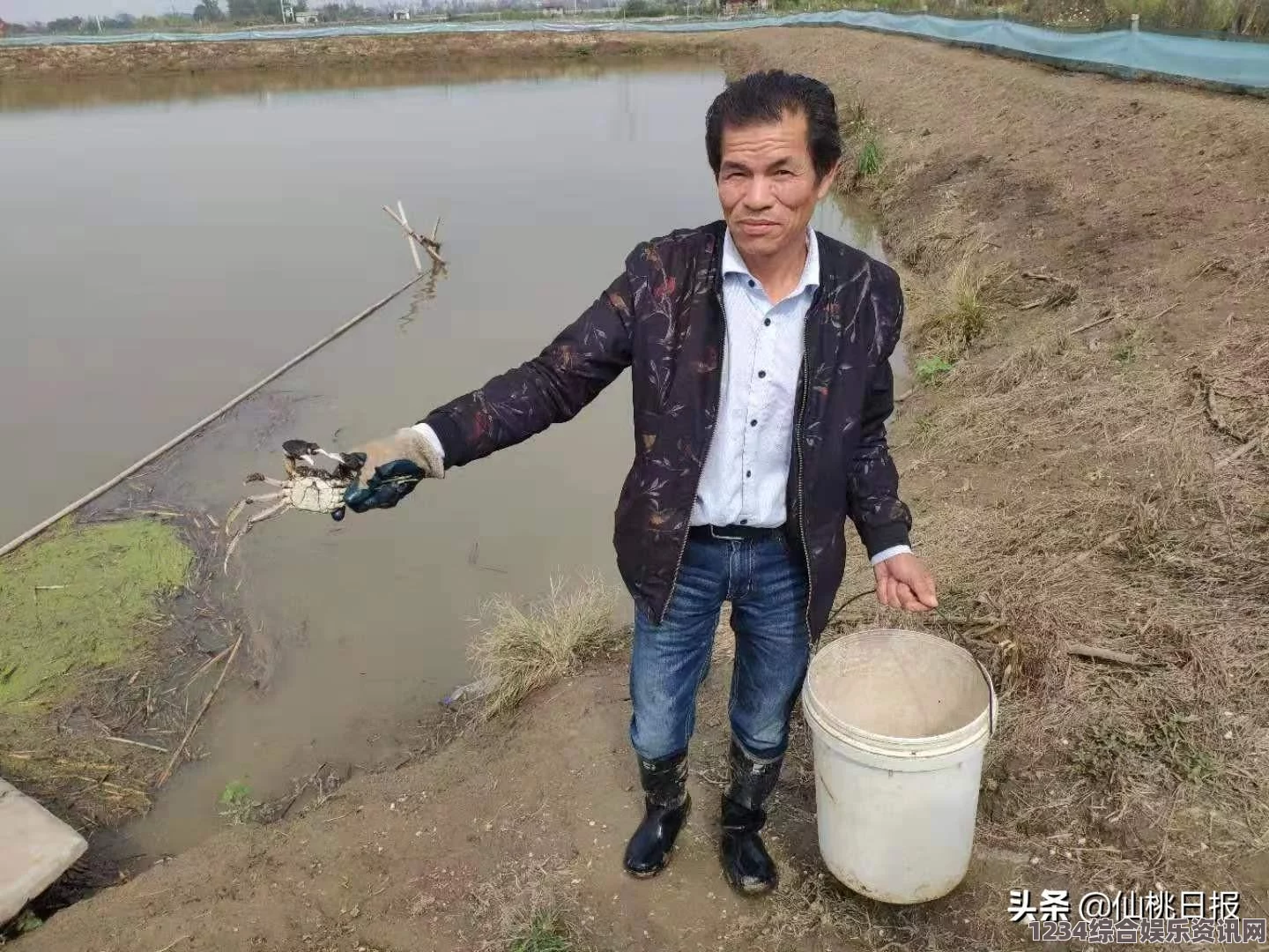 饥荒海难生存秘籍，螃蟹的生存关键与实用指南解析