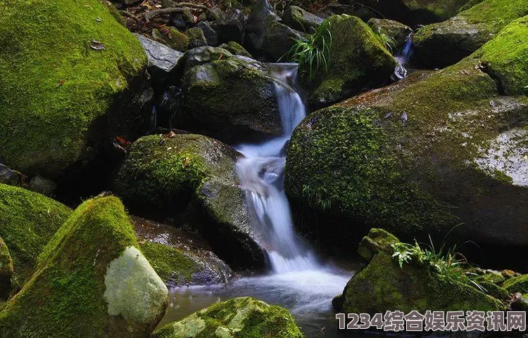 饥荒海难，丛林树功能与效益详解