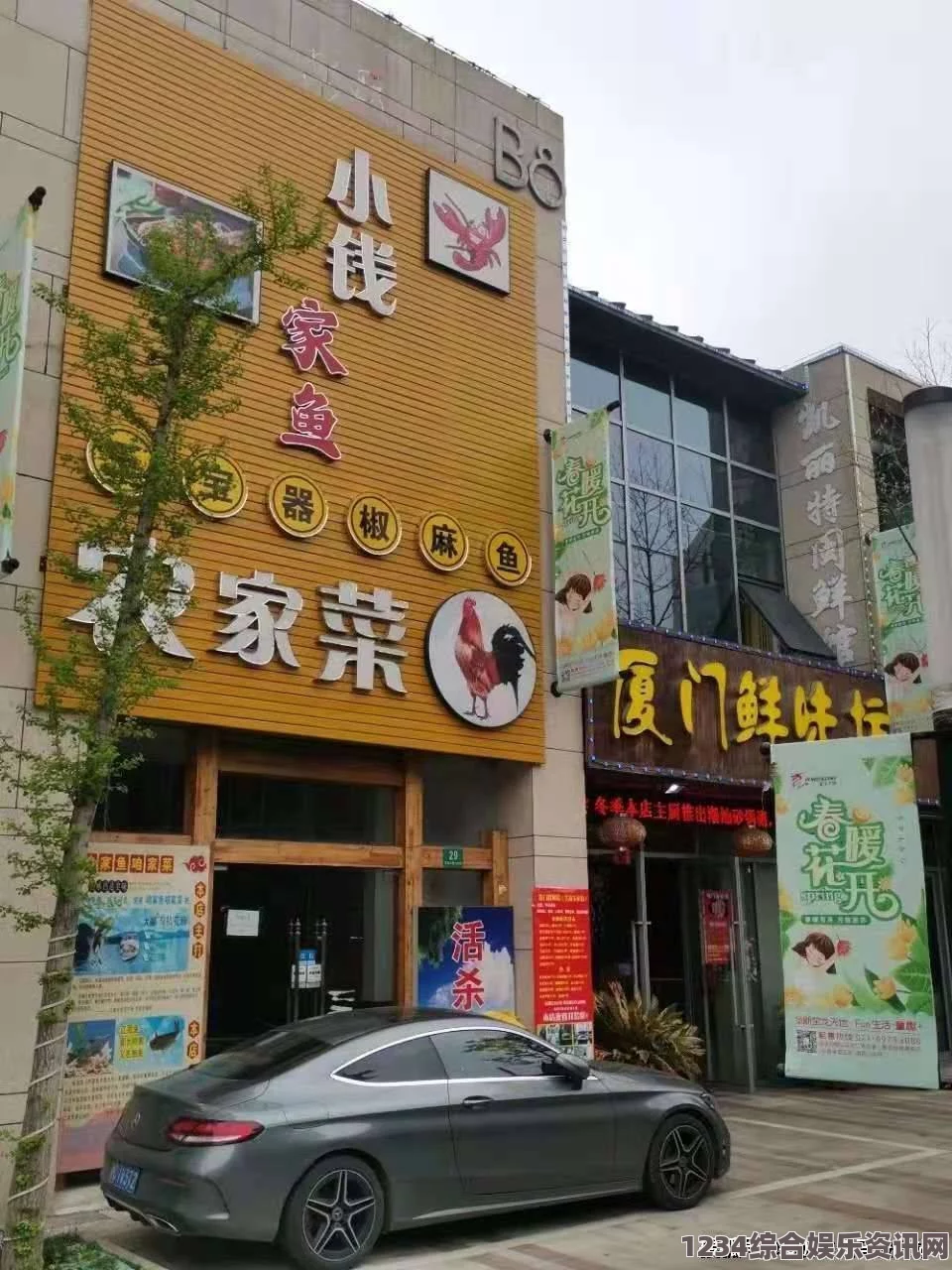 Balatro商店购买指南，如何选择你需要的商品