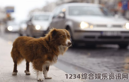 地狱潜者2护卫犬漫游车特性与魅力深度解析