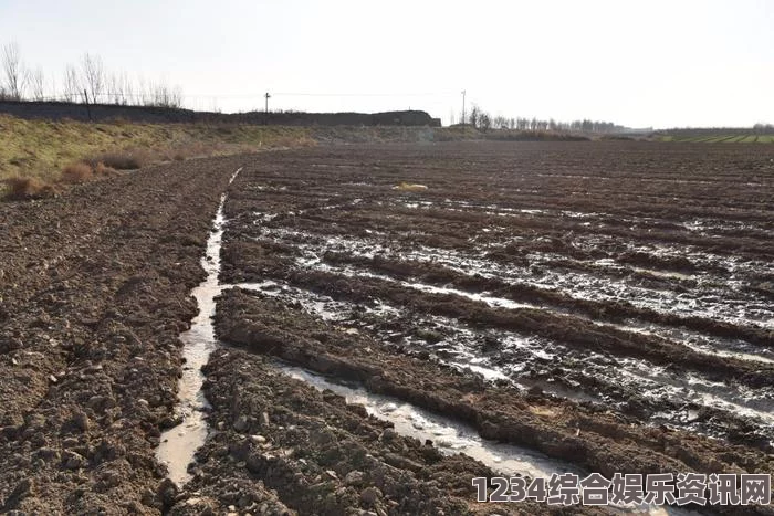 红楼艳谭黑土的脚：承载着历史与生命的丰厚土壤，浸透了无数农民的汗水与希望。