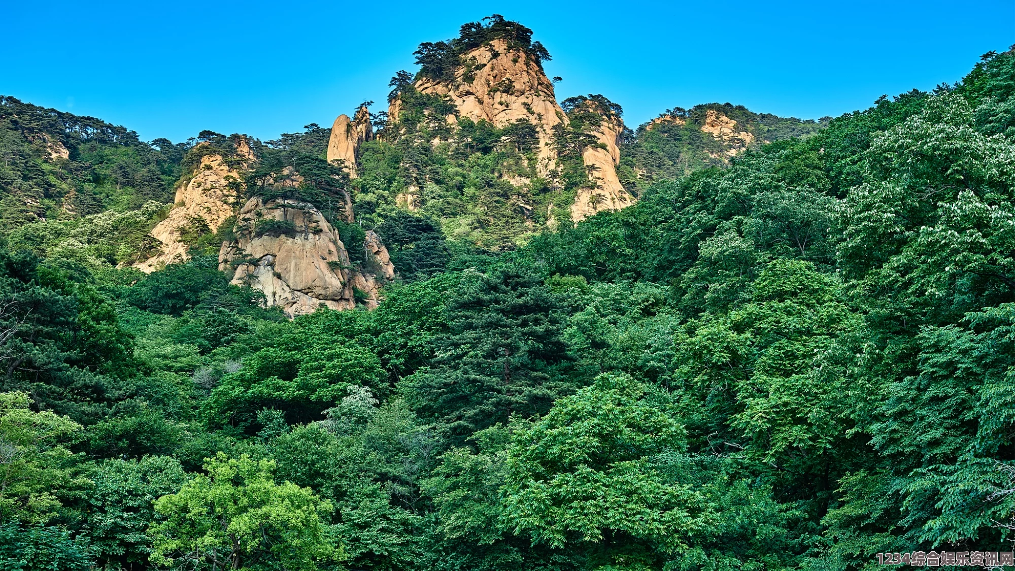 原神千峰绝云观景点攻略，探索绝美风光之旅