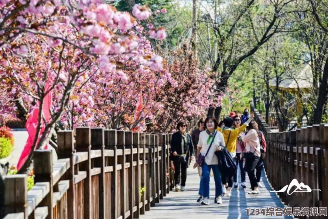 原神沉思花园深度游，观景点攻略与游戏魅力全解析