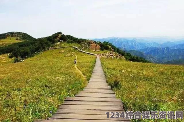 原神沉思的花园观景点攻略，探索美景，尽享游戏魅力