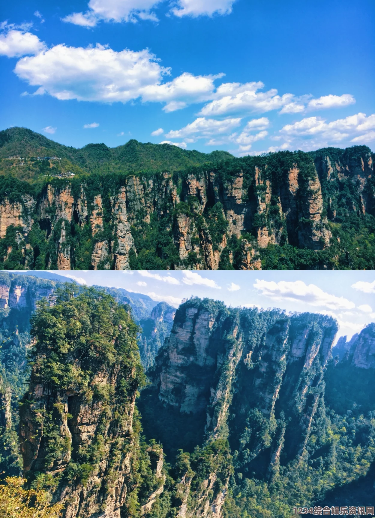 原神，葱茏之野全景观景点攻略与探索指南