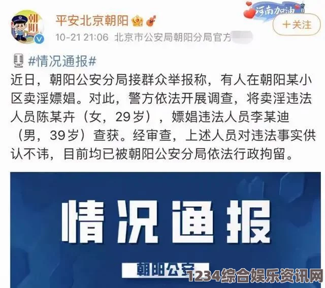 朝阳群众是什么神奇的存在：他们是维护社会安全的重要力量，展现了社区团结和互助精神。