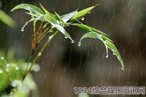 春雨直播视频观看完整版：这个节目通过生动的画面和真实的互动，展现了春天的美好与希望，让人感觉温馨而放松。