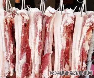 十九岁免费观看全集完整版2024新番肉食有哪些，期待更多精彩的剧情与角色发展，这些作品是否会带来新的惊喜？