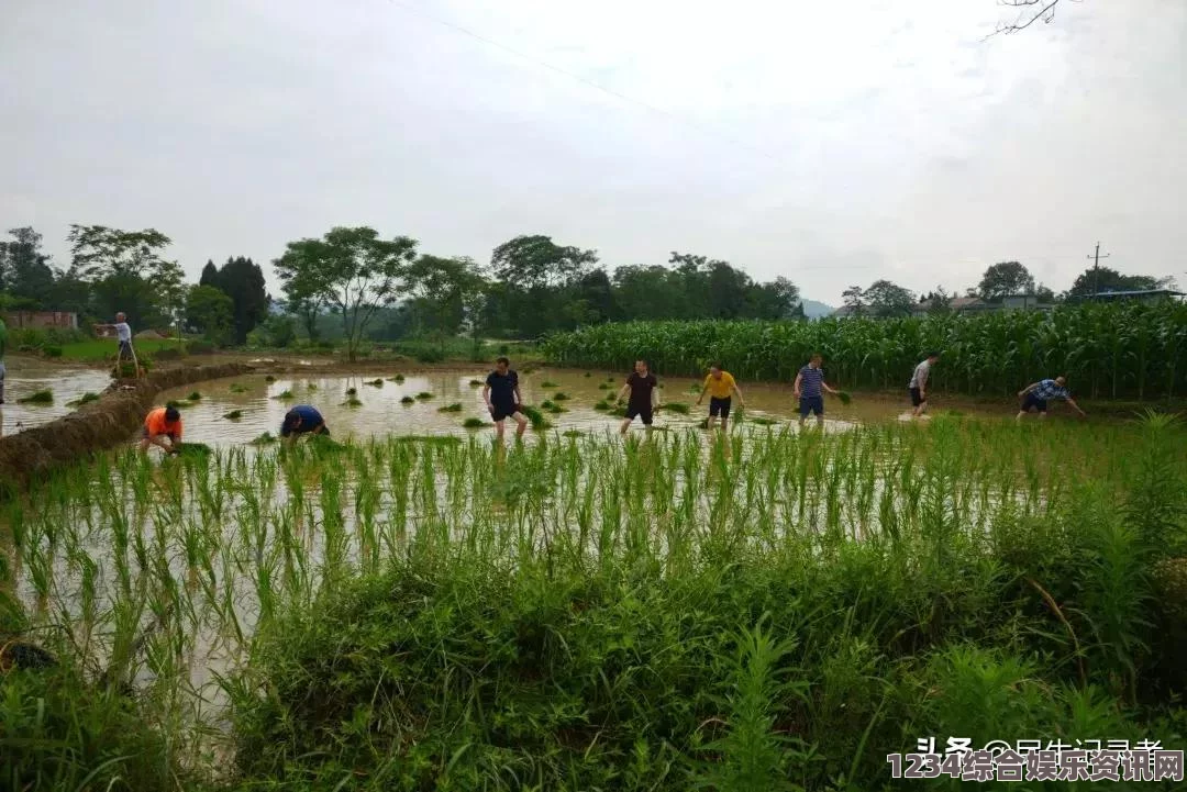 九幺免费版安装无风险，操作简单、安全性高，非常适合新手用户尝试和使用。