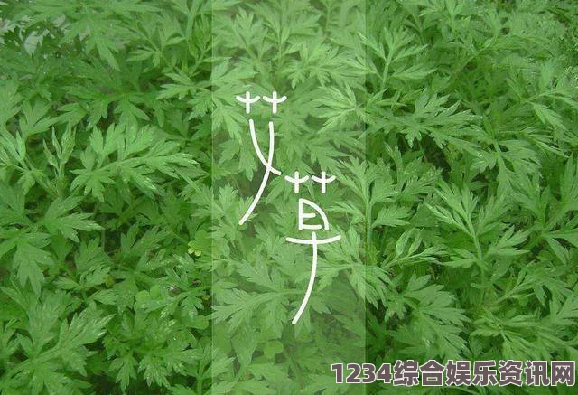 丰满人妻熟妇乱偷人无码c17草：一种潜力无限的植物，具有独特的生长特点和广泛的应用前景。探索其生态价值与经济效益令人期待。