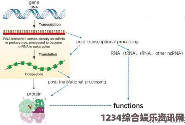 RNA与cDNA杂交技术在基因表达研究中的应用与意义探讨