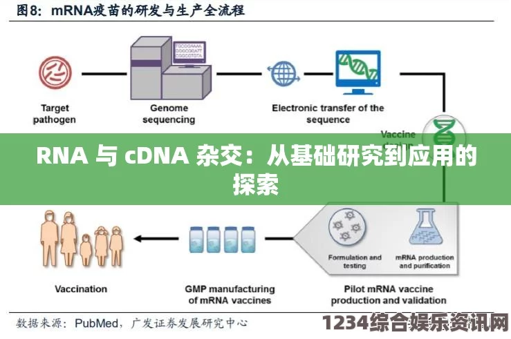 RNA与cDNA杂交技术在基因表达研究中的应用与意义探讨