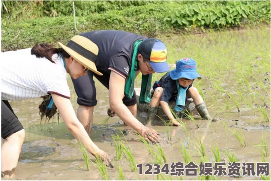 夫妻插秧一百种方法：共同耕耘的快乐与技巧大揭秘