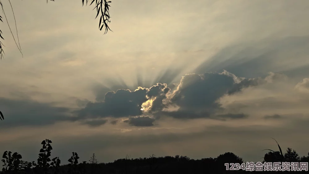 夕阳下的老人：船上采摘雨荷，感受自然与岁月的交融