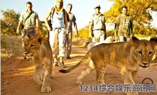 哈～C够了吗？提纳里与挑战者们的冒险之旅