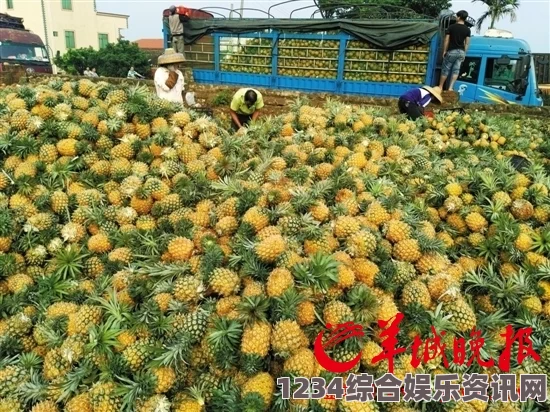 贵丰大菠萝805D4：解密这款高性能水果种植机的优势与应用前景