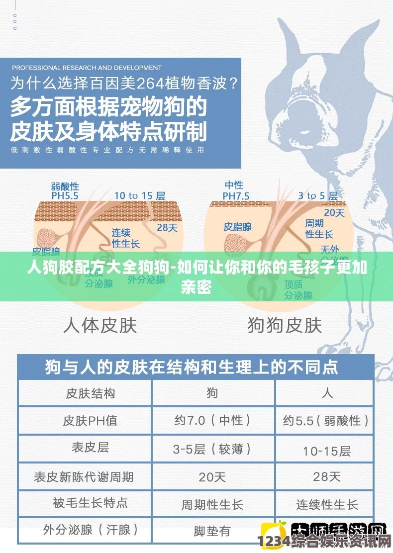 全面解析人狗胶配方大全：高清图文解读及使用指南