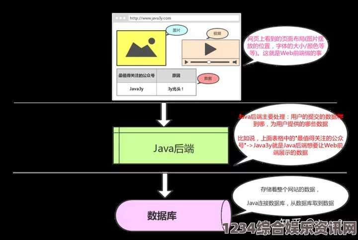 探索Java成品网站：视频与直播内容丰富多彩，带你畅享全新体验