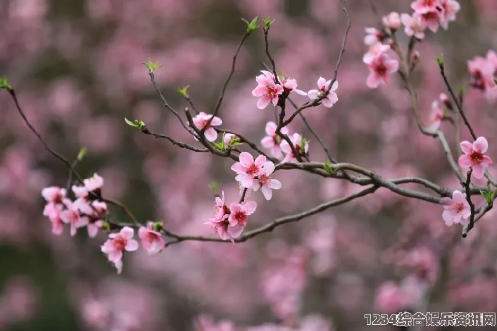 “春天的嘴唇：含苞欲放的桃花诉说着生命的绚烂”