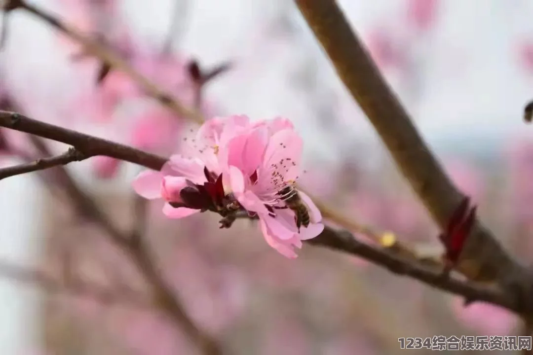 “春天的嘴唇：含苞欲放的桃花诉说着生命的绚烂”