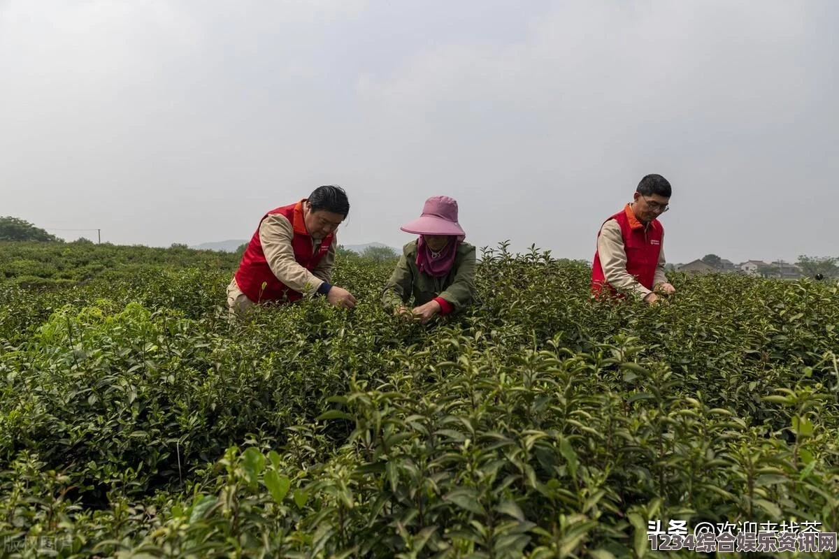 生活中的家庭大杂乱：那些经典说说带来的共鸣与反思