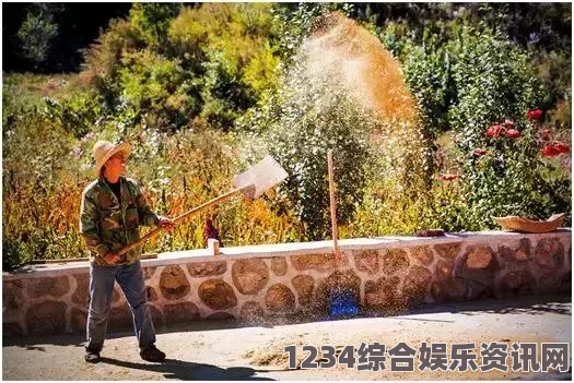 自己坐下去：在忙碌生活中寻找内心宁静的艺术与技巧