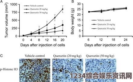 潜渊症中的抗生素，其关键功能与角色解析