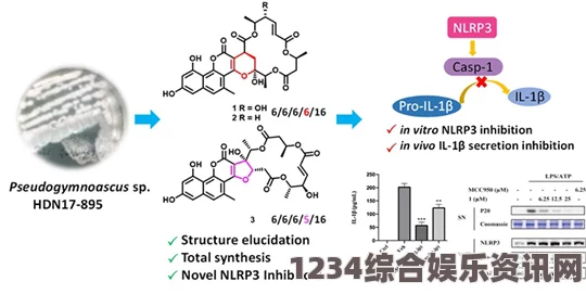 潜渊症中烯丙羟吗啡酮的作用及重要问答