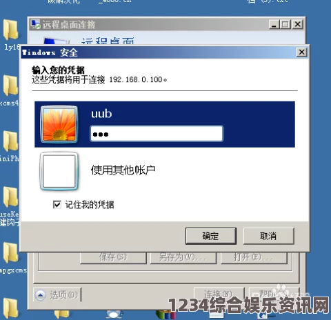 探索高清VPS WINDOWS 服务的另类选择与乱象解析