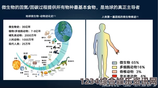 潜渊症中的芬太尼，作用机制与应用探讨