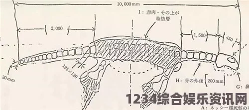 潜渊症中船长帽子的实用功能与重要性探讨