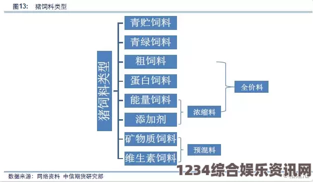 深入解析国精产品：一二三四线品牌对比评测全景揭秘