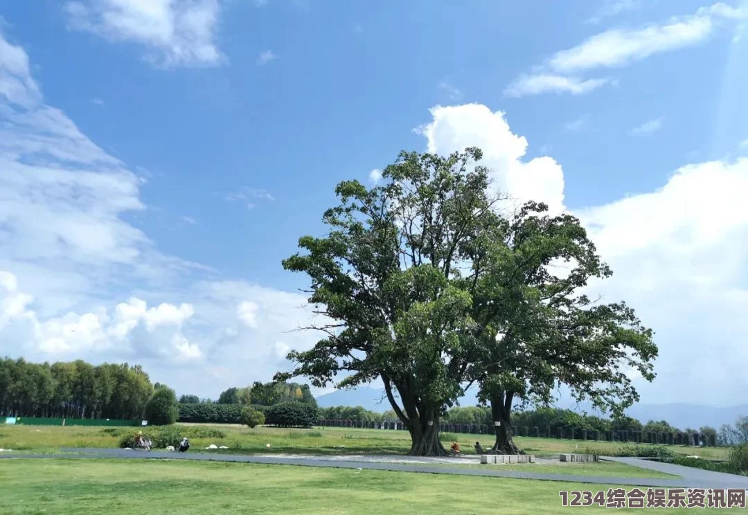 事后清晨：OP阿司匹林小说中的爱情与救赎之旅