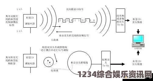 探索RF射频线在高清视频传输中的应用与优势解析