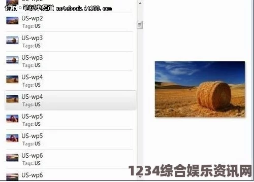 深入分析欧美VPS与Windows服务器性能差异及应用场景对比