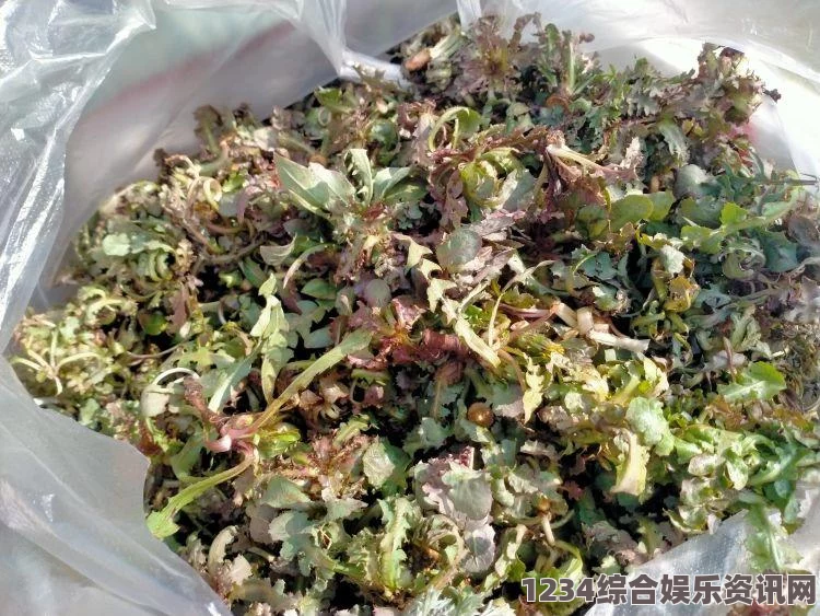 在纯黑色背景下展示的蘑菇视频红色logo，彰显独特视觉魅力