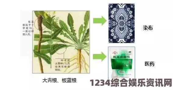 蜜芽忘忧草：探索它在缓解压力与提升心情中的神奇作用