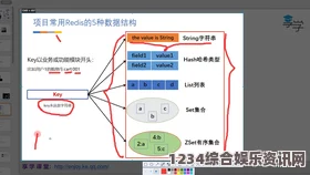 深入解析成品网源码78W78的独特特点与应用价值