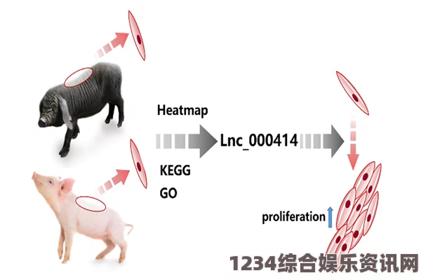 如何通过研究“精品人、猪与狗”的DNA推动医学与农业发展：解读基因背后的奥秘