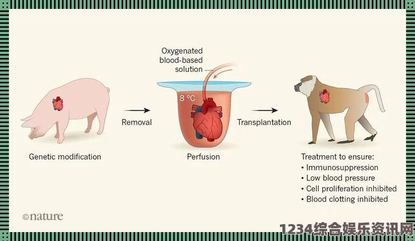 如何通过研究“精品人、猪与狗”的DNA推动医学与农业发展：解读基因背后的奥秘