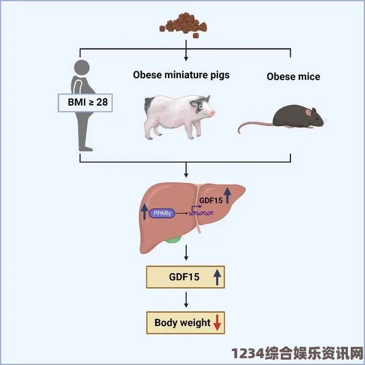 如何通过研究“精品人、猪与狗”的DNA推动医学与农业发展：解读基因背后的奥秘