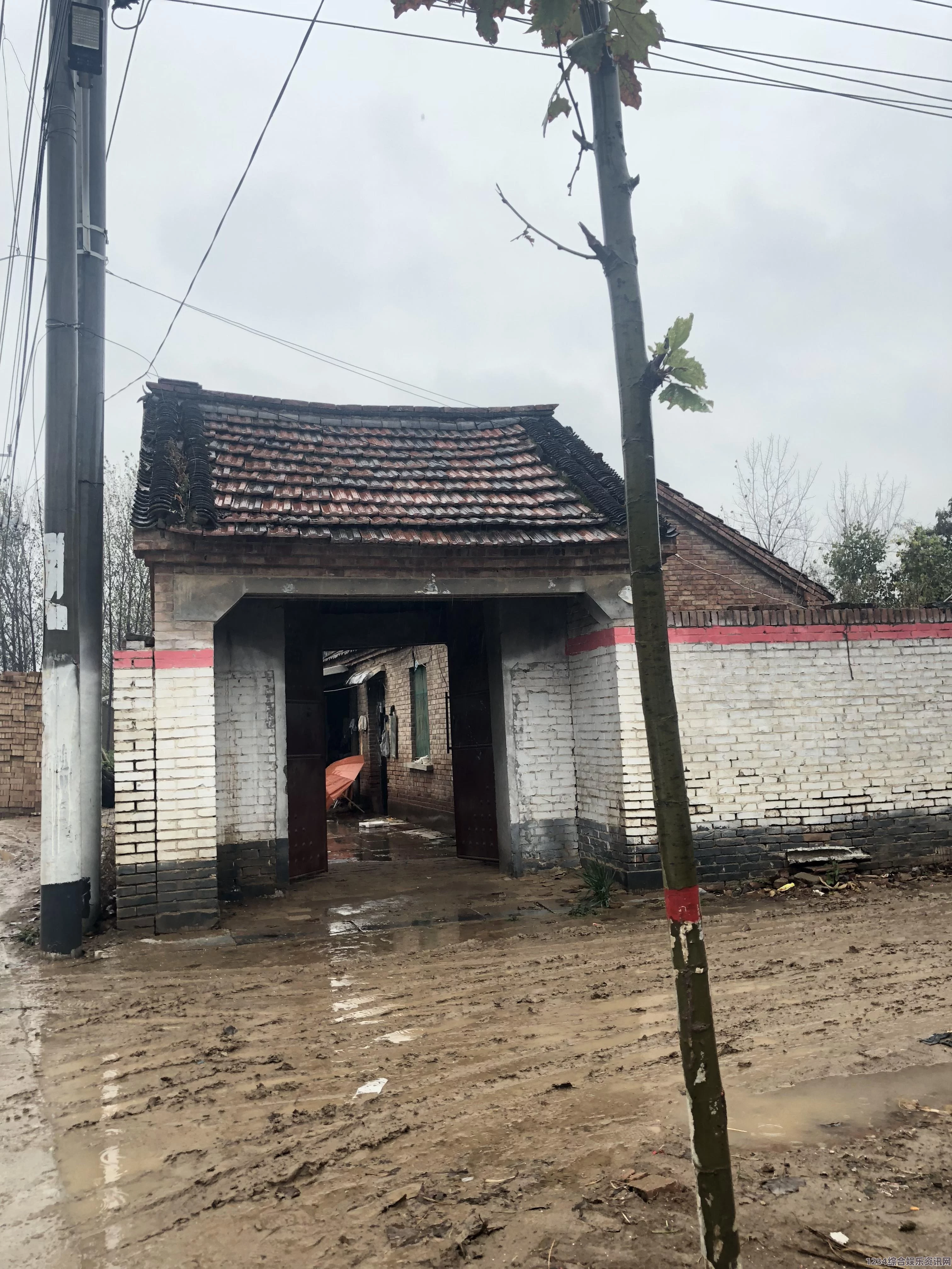 雨中冒险回归，散养成就指南与常见问题解答全攻略