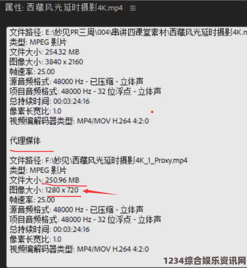 如何避免欧洲尺码与日本尺码不匹配？专线服务帮助你解决购物卡顿问题