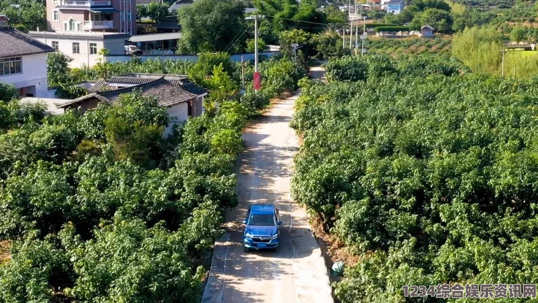 选择日产精品一线二线三线芒果：不同需求下的最佳选择与搭配