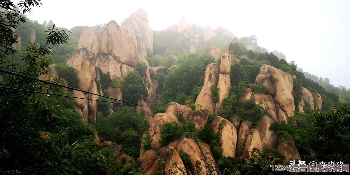 雨中冒险归来，乌龟攻略详解与问答环节揭秘