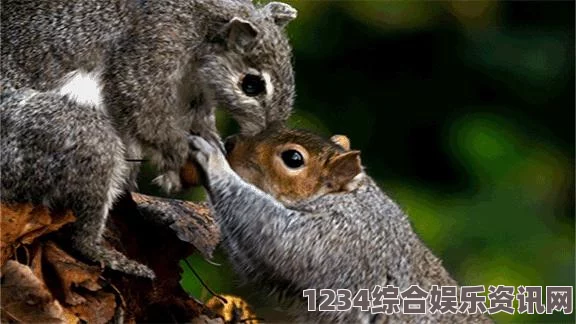 如何通过科学锻炼与饮食让你的体型变得又大又硬？从运动到饮食全面解析